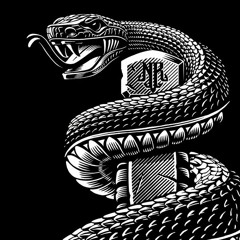 Matt Kleopas  -  Rattlesnake