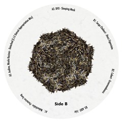 B1. Sergo Chalauri - Jhazz Eigenstate [snippet]