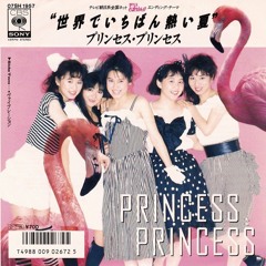 世界でいちばん熱い夏 令和元年ver - プリンセスプリンセス