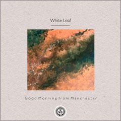 White Leaf : Good Morning from Manchester