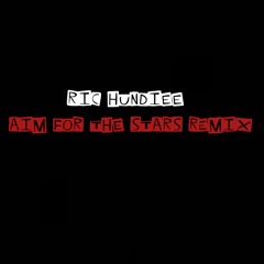 Ric Hundiee - Aim For The Stars (Remix)