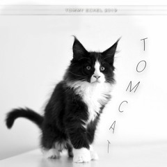 Tomcat