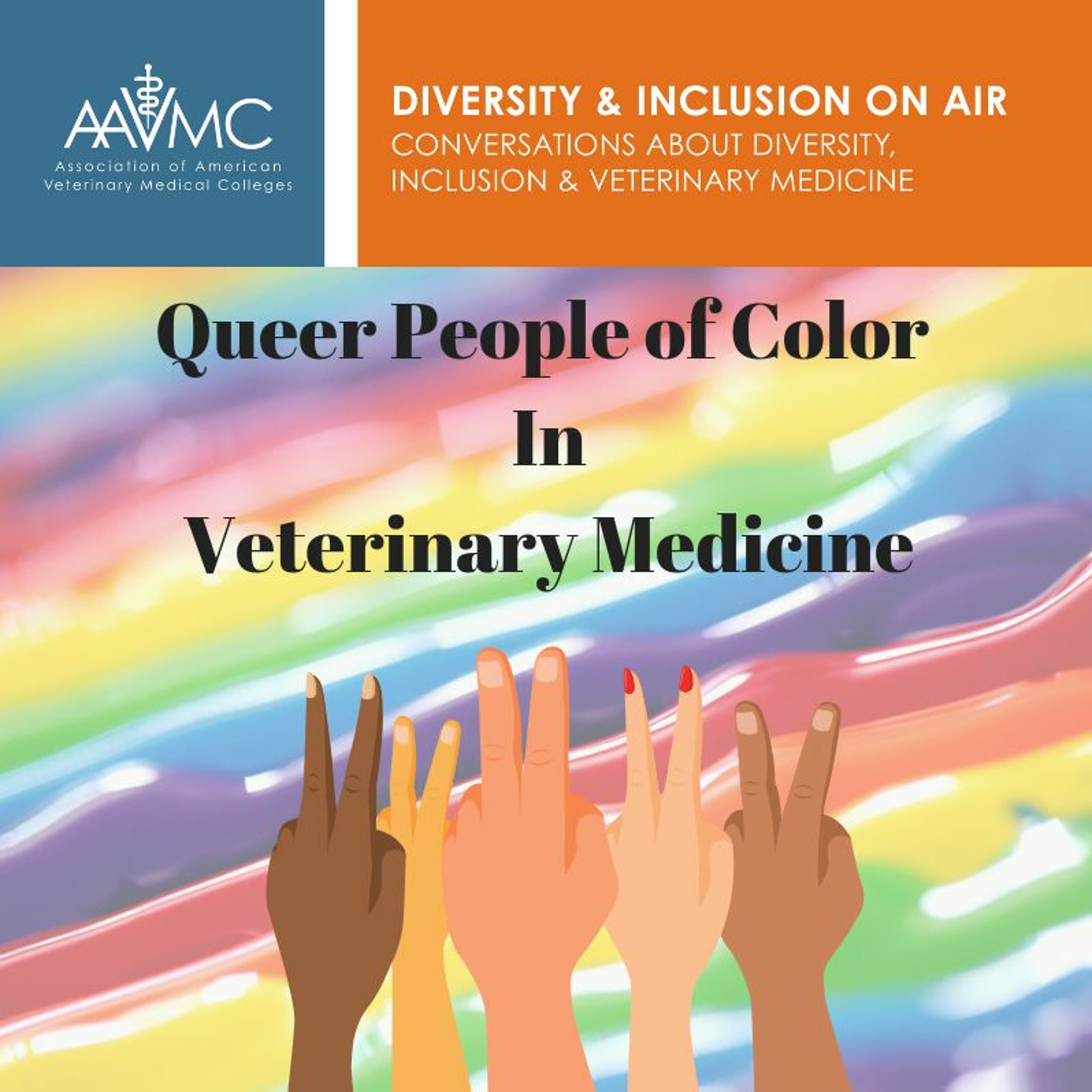 AAVMC\'s On Air: Conversations about Issues in Veterinary Medicine