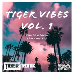 TIGER VIBES Vol. 1 | SUMMER MEGAMIX | TIGERTRONIK