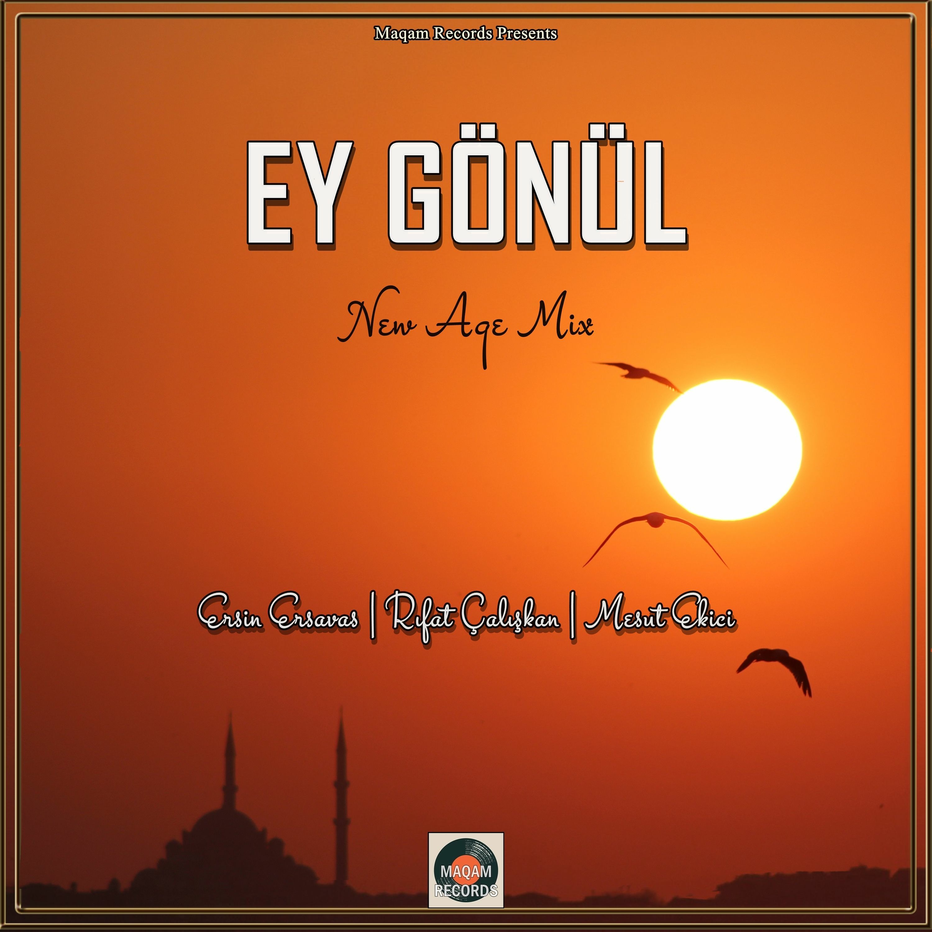 Ersin Ersavas Official