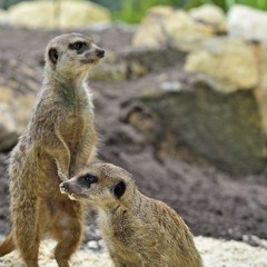 SSD15 part1    10.06.19