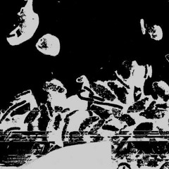 Live Recordings