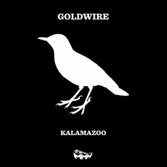 goldwire - kalamazoo