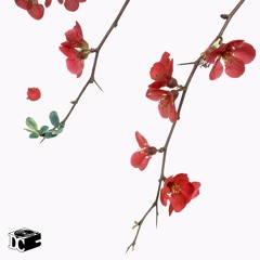 Oatmello -  Infinity