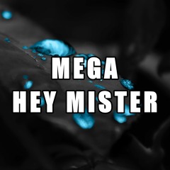 MEGA HEY MISTER (PerreoMix) ✘ TOMI DJ