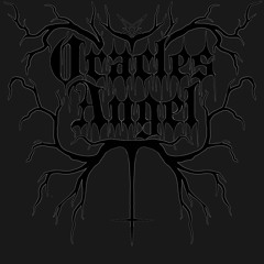 the fallen (full length album)