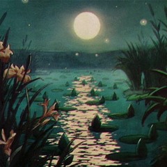 ｗｏｏｌ 𝕗𝕒𝕓𝕣𝕚𝕔 陰円ヅ *RARE* (Prod. $plashious) [neomatter]