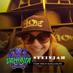 Future Tribe of Valhalla Mix #09: Steinjah