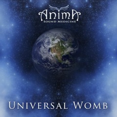 Universal Womb EP