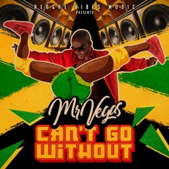 MR. VEGAS "Cant Go Without Sex" (explicit)LIMITED DOWNLOAD AVAILABLE