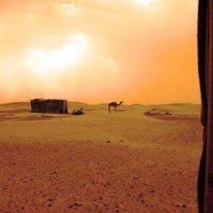 وما ذنب أعرابية - الخليفة ولد أيده