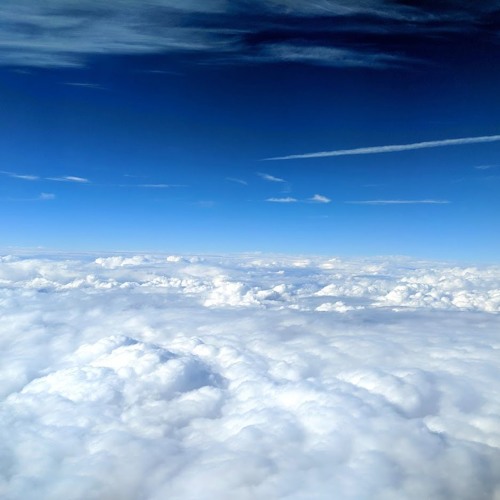 Sky Between the Branches