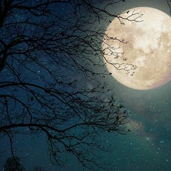 Moon Light - KIRA BANDZ| IG:kirabandz11