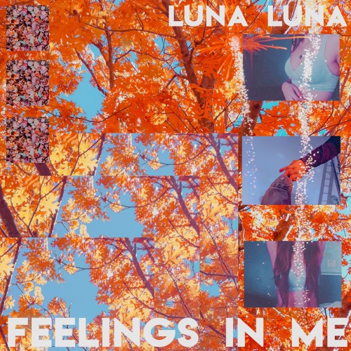 Feelings In Me