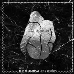 MikeQ & Divoli S'vere -Phantom (Spiider Remix)