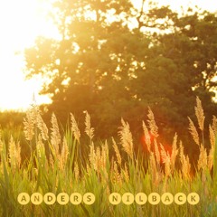 Anders Nilback: En sensommardag