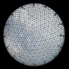 Julian Zyklus - Looking for a better view