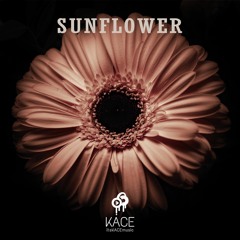 [FREE] Sunflower | Lo-Fi Post Malone Type Beat - KACE