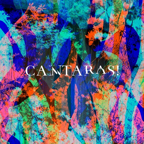 Šaraka - Cantaras (Geplantes Nichtstun Remix)