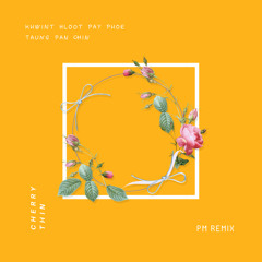 Khwint Loot Pay Phoe Taung Pan Chin (PM Remix)