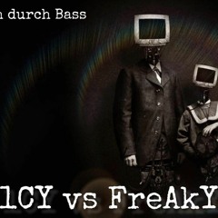 1CY vs. FreAkYP- RAUSCHdurchBASS