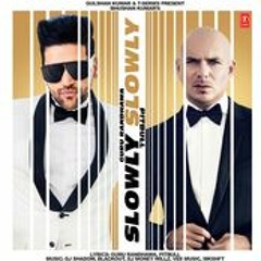 SLOWLY SLOWLY | Guru Randhawa ft. Pitbull | Bhushan Kumar | DJ Shadow, Blackout, Vee, DJ MoneyWillz