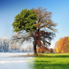 So(u)lstice (Prod. By Niko)