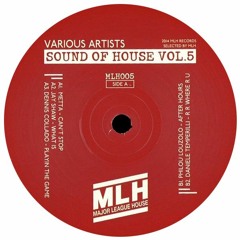 MLH005 VA - Sound Of House vol.5 (Metta, 4trak, Dennis Collado, Philou Louzolo, Daniele Temperilli)