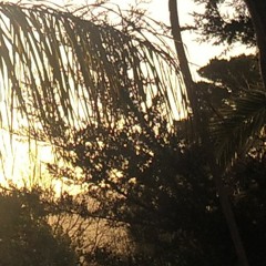 after the rain