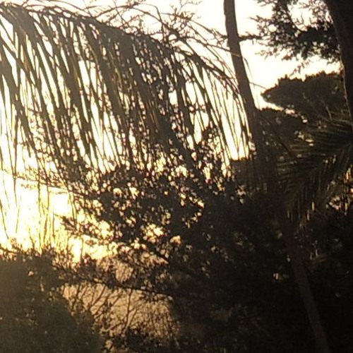 after the rain