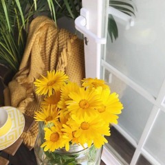 وجهكِ موطني...