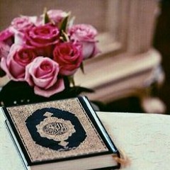 ما تيسر من سورة يوسف | محمود القرشلي