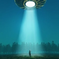 Abducted In Plain Sight