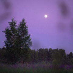 В саду у Лизы «А» (демо)