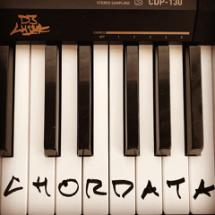 Chordata