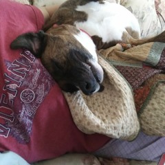 Hasidic Juice (demo)