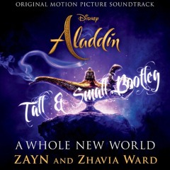Whole New World (Tall & Small Bootleg)_fake intro