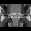 Senorita Shawn Mendes And Camila Cabello Cover Mp3