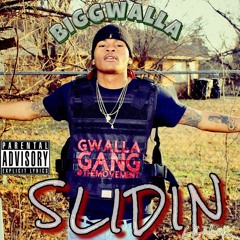 BigGwalla-SLIDIN