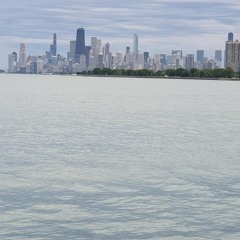 Have you ever cooked?