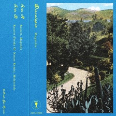 [JGT34] "Magnolia" - Discotopia (Previews)