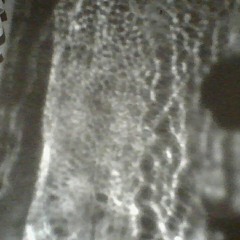 Is something the matter