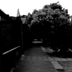 Podcast. 002.mp3