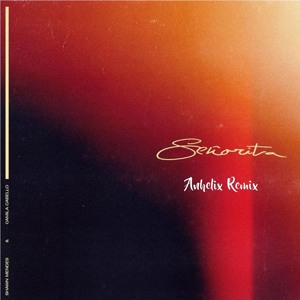 Senorita - Shawn Mendes & Camila Cabello (REMIX) mp3