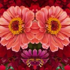 Bob Dylan - Rita May